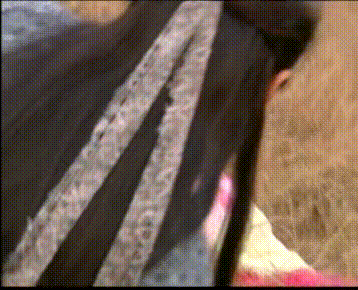 再看《乌龙闯情关》，童年里的欢乐和遗憾都在这里