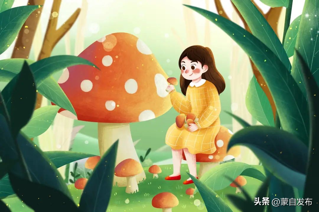 又到吃菌的季节啦！吃前速看→