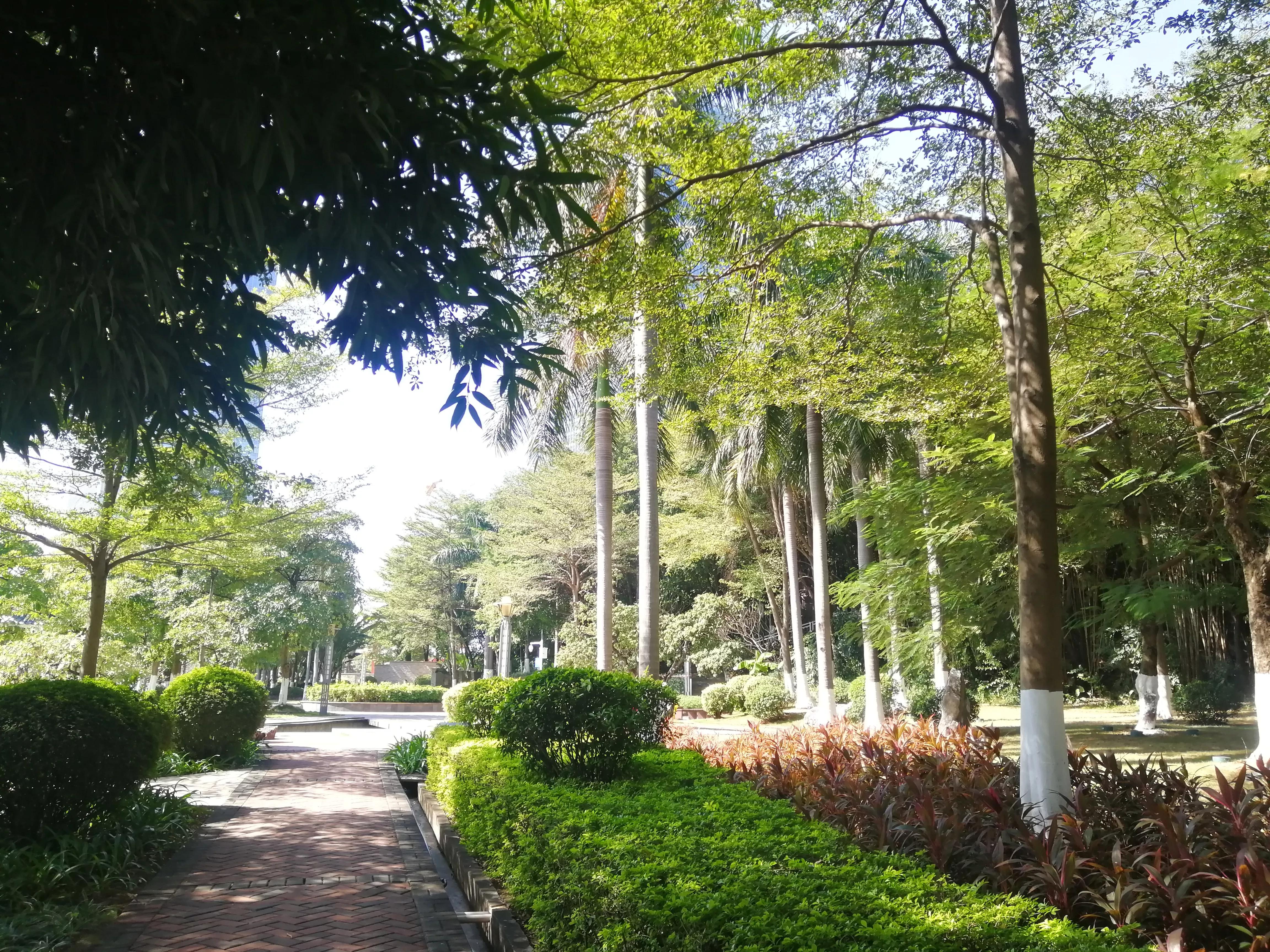 地铁4号线大学城游玩攻略，领略那不一样的广州大学城风光（C篇）