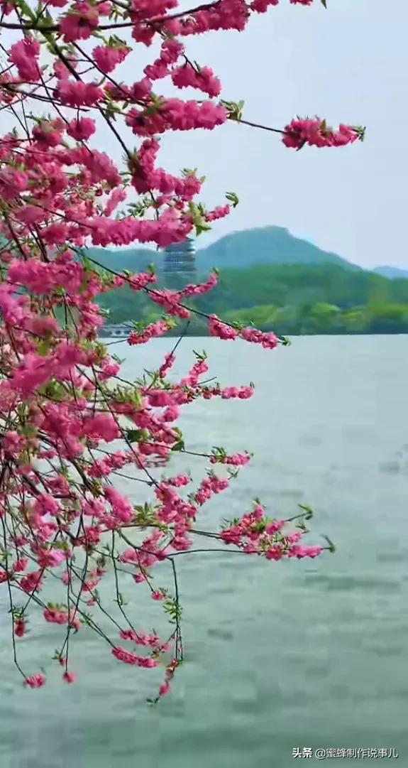 鲜花盛开，一路芬芳醉人