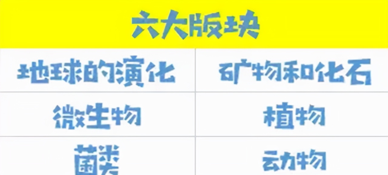 送啥礼物给孩子才够大气？《DK博物大百科》：给娃一座家中博物馆