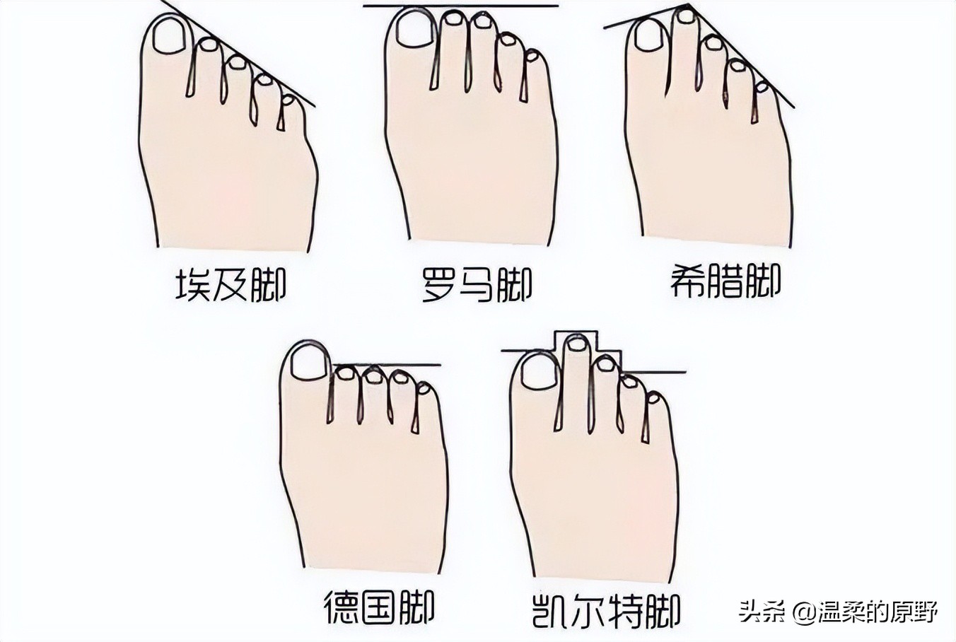 1,看尺寸,脚型,形状选尺码在说足弓和跑步姿势之前给大家介绍一下跑鞋