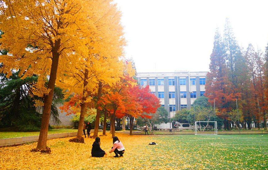 每座校园都有自己的代表植物，你就读的校园哪一种植物最出名？