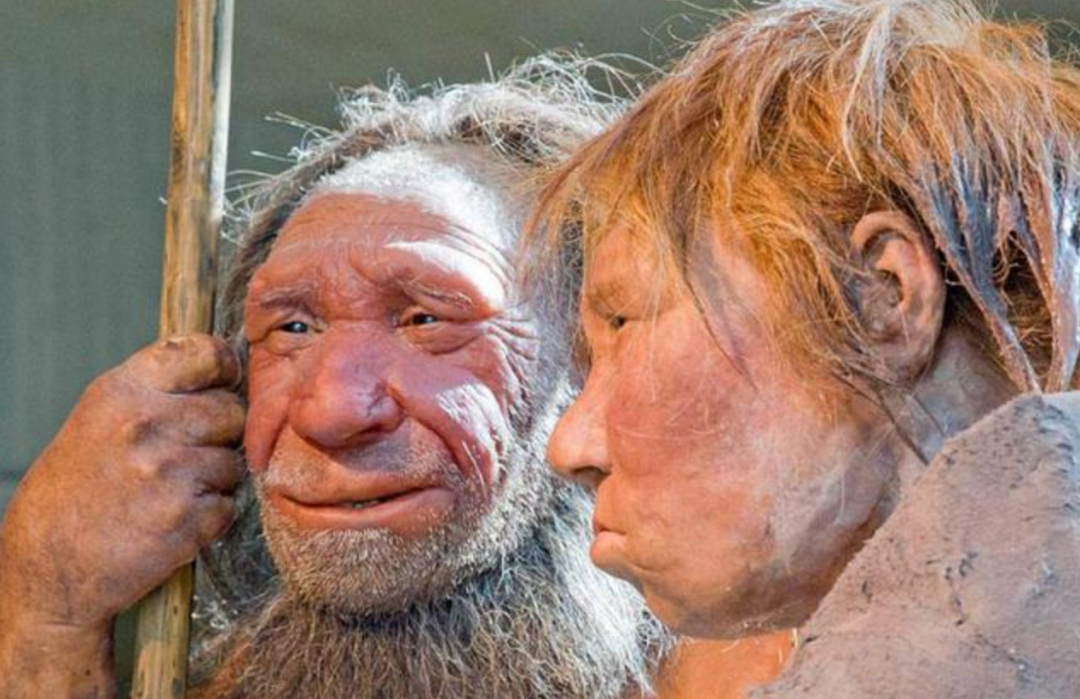 226,000年前，谁留在谁留在Aomi西藏西藏帕萨的小组？