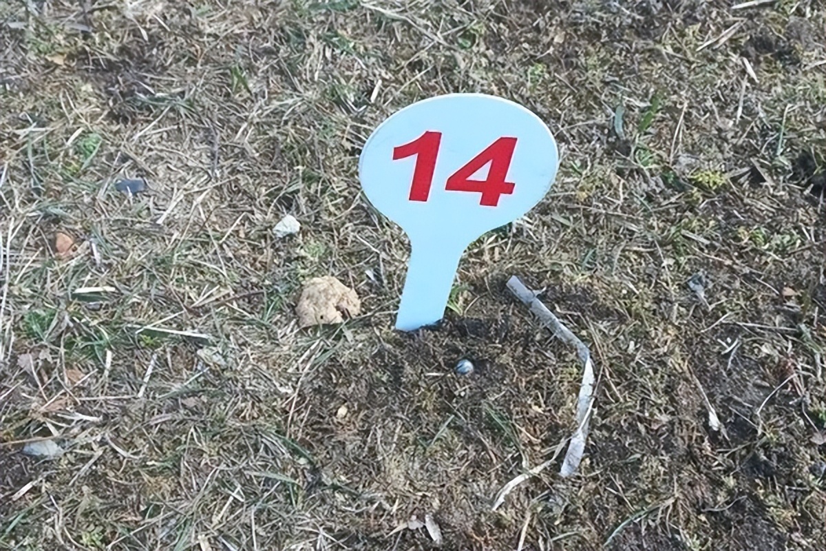 ����ͻȻ�԰׶������������������������ƣ���׼�����ٴ�������