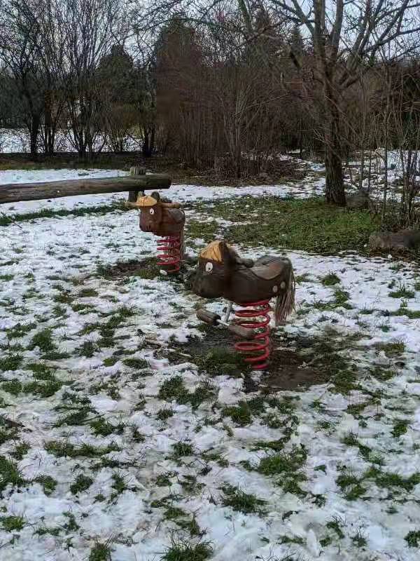 卜算子·德国冬雪