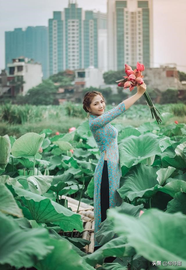 荷花盛开正当时，人像摄影怎么拍？4个要点拍出清新优雅美