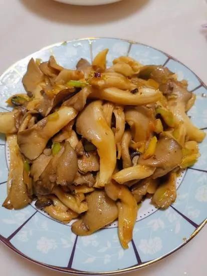 冬天吃蘑菇，营养又养生！9种美味的蘑菇菜品，快做出来尝尝看