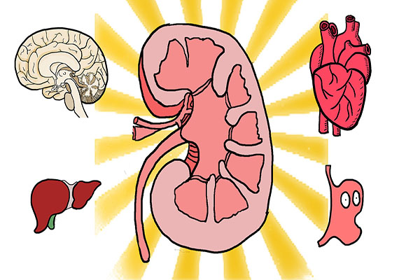高血压患者入夏指南，一到夏天血压低，是否能停药减药？