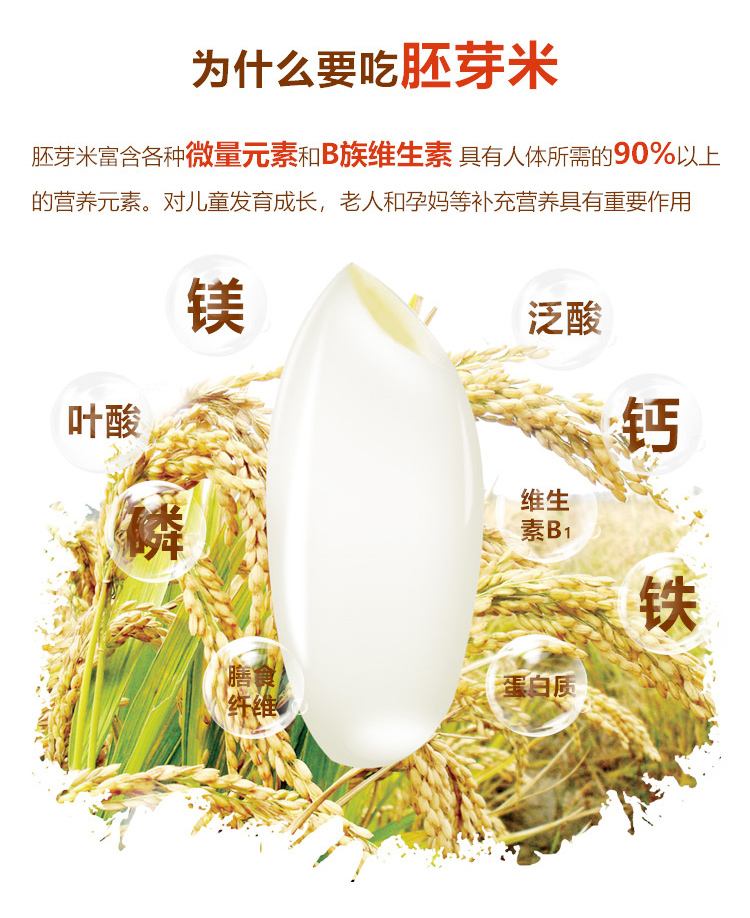 良米仓全自动智能碾米机解析