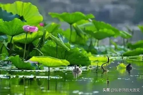 写景，难？！抓准特点，做到四点，写景不难