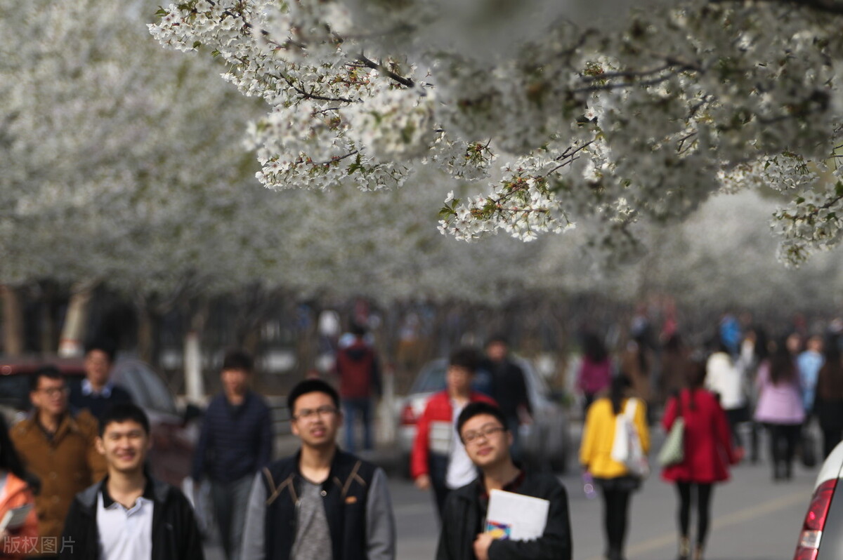 河南城建学院、周口师院、许昌学院：马上升本20年，都发展如何？