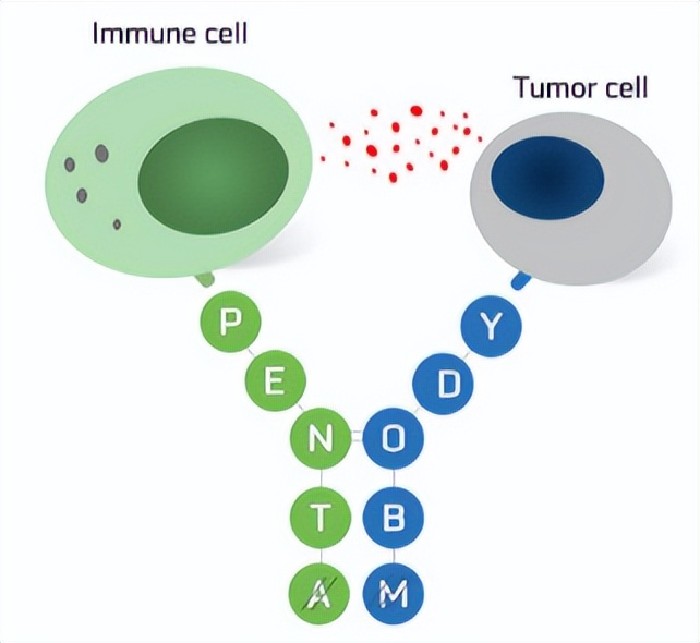 信达生物研发技术平台梳理
