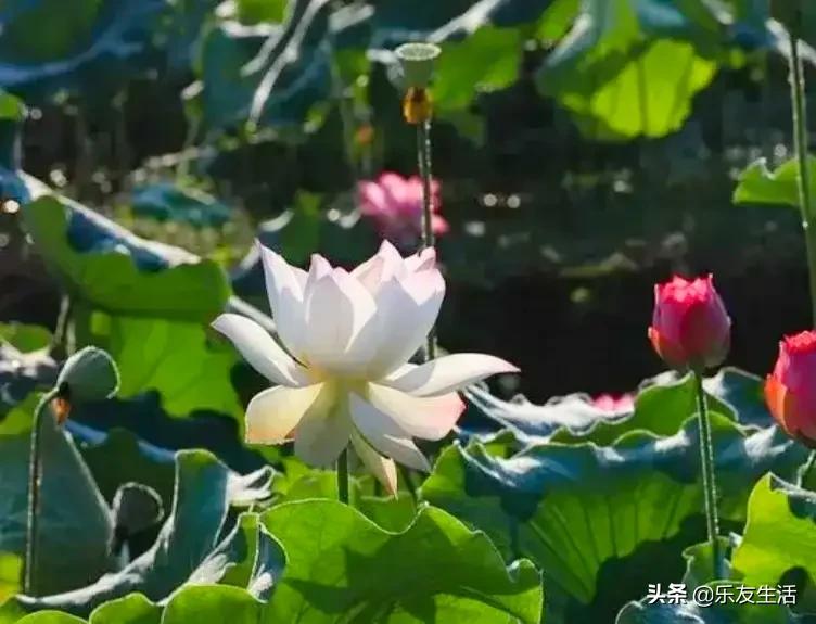 心理健康教育不容忽视