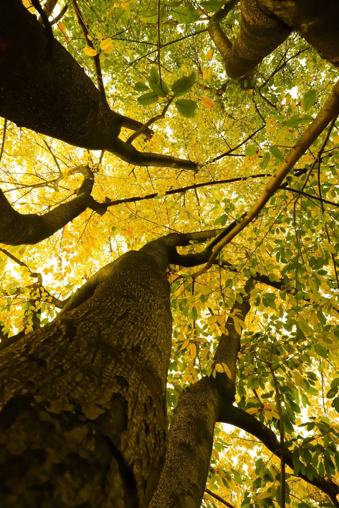 重大的春天，就是不一样