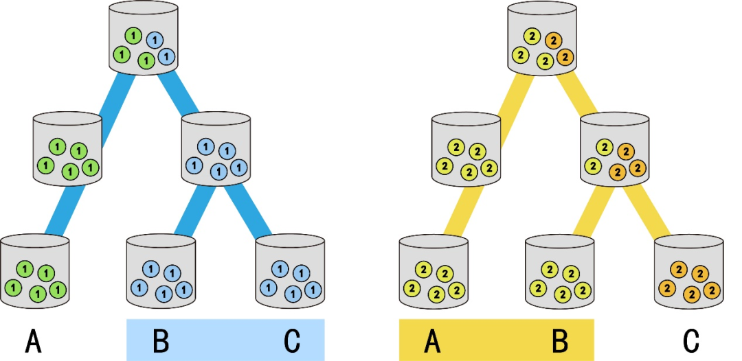 为什么南美的小山猴，“长得像”澳洲的袋鼠？