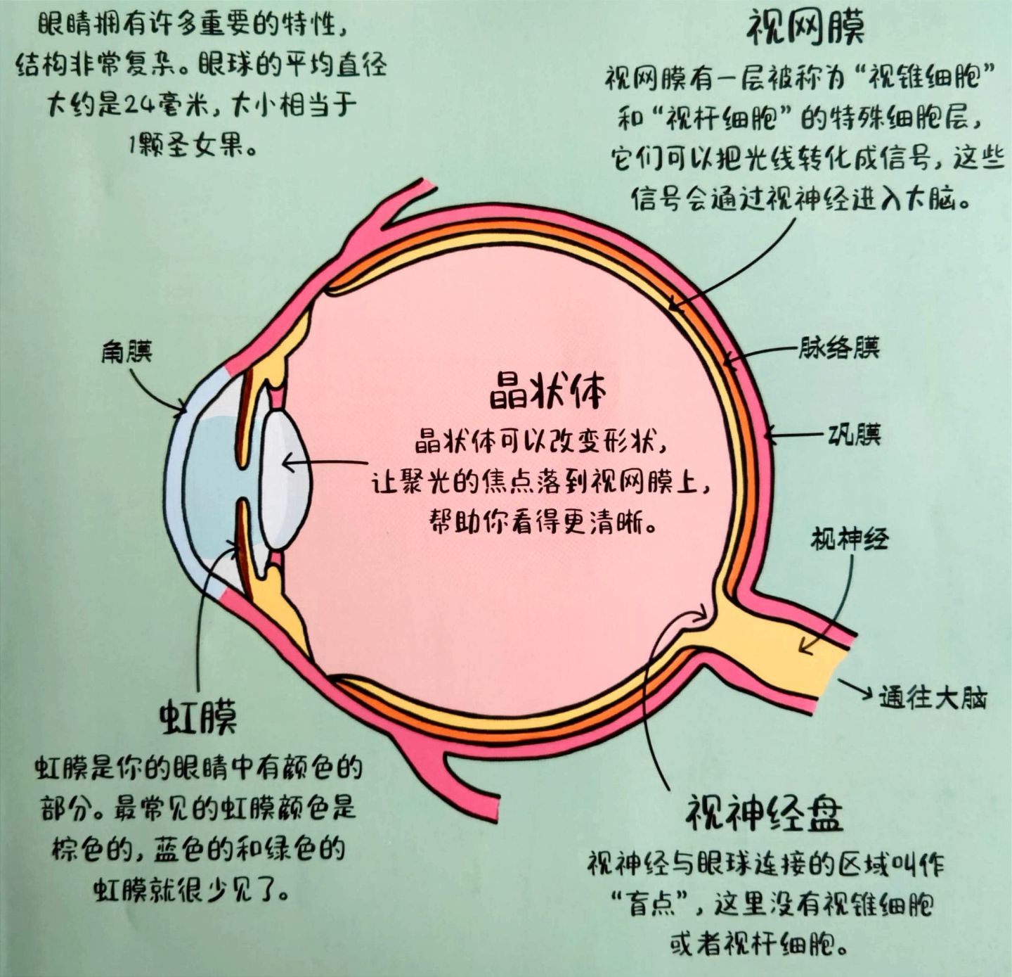 3个实用攻略，4个缓解眼疲劳的方法，助力孩子养成保护眼睛好习惯