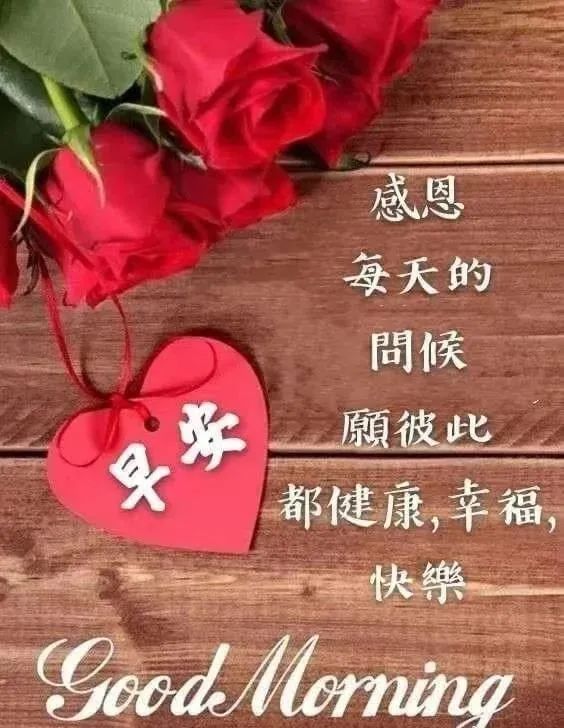 花妩媚，因为蝴蝶在追；梦已醉，因为月色很美