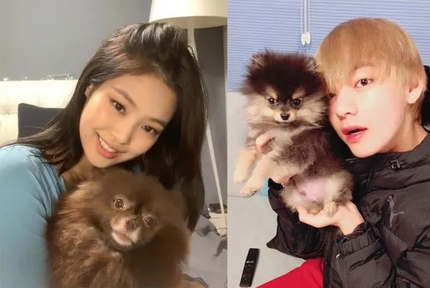 金泰亨和JENNIE的恋爱说?;IVE外国成员认识JOY?