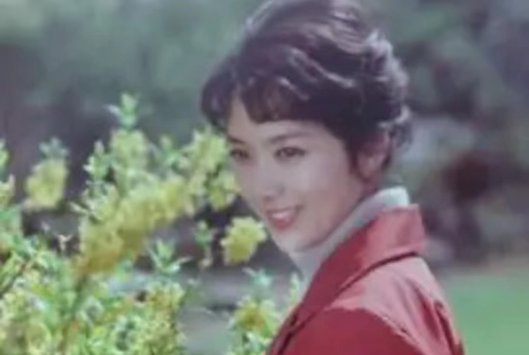 红极一时却突然“消失”的15位明星：林芳兵险毁容，利智为爱息影