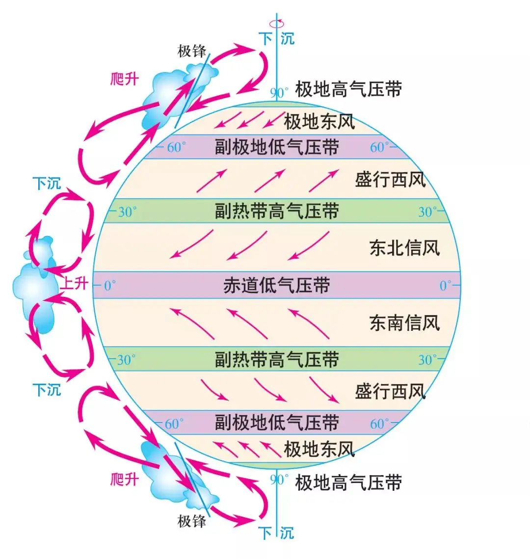 南極和北極是地球上環境最極端的地方之一,並且因為地理原因,它們兩個