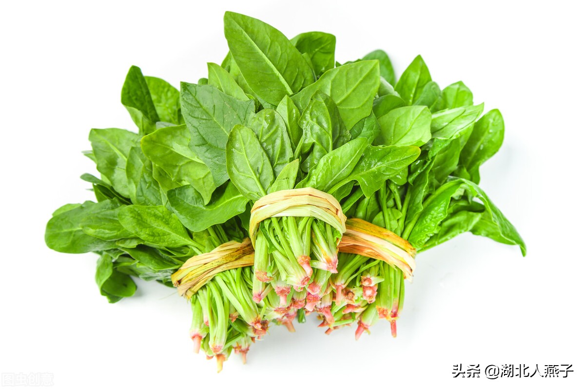 冬日维k宝藏榜，速通食物清单！菠菜、西兰花、羽衣甘蓝，还有这些不可错过～