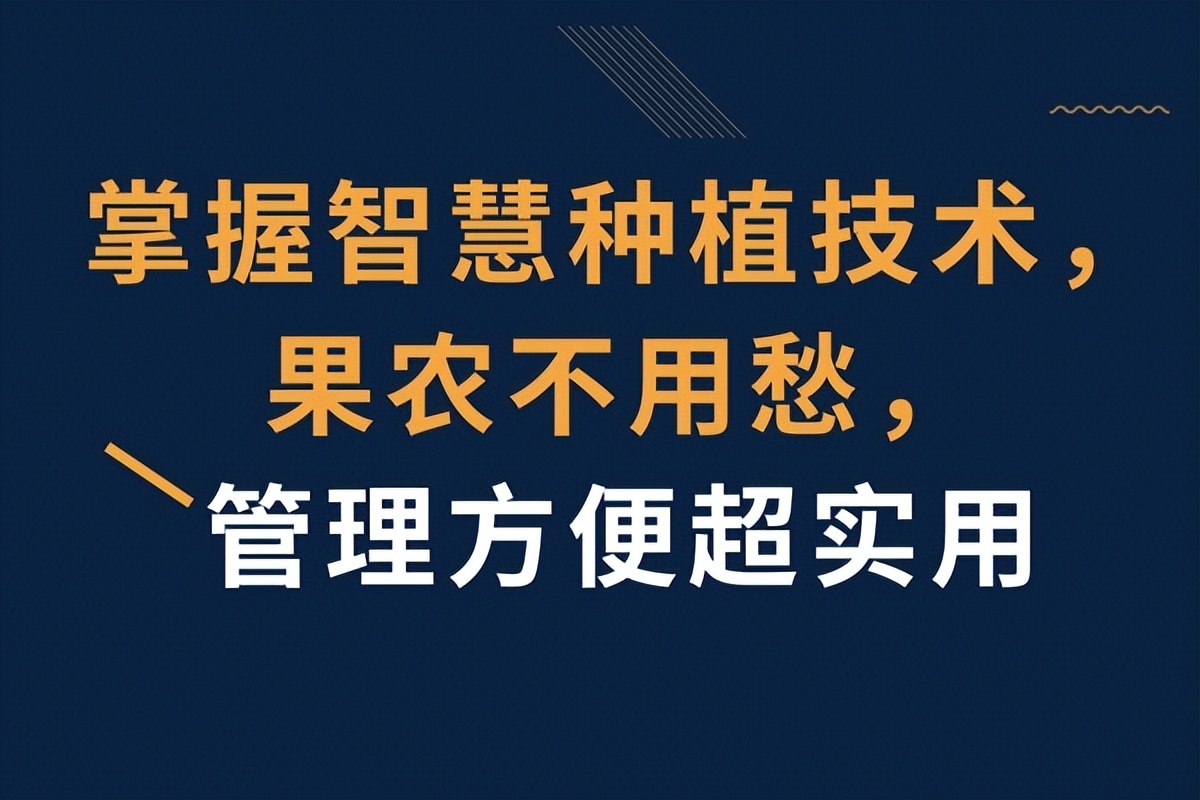 掌握這項(xiàng)科學(xué)技術(shù)，果農(nóng)不用愁，管理方便超實(shí)用