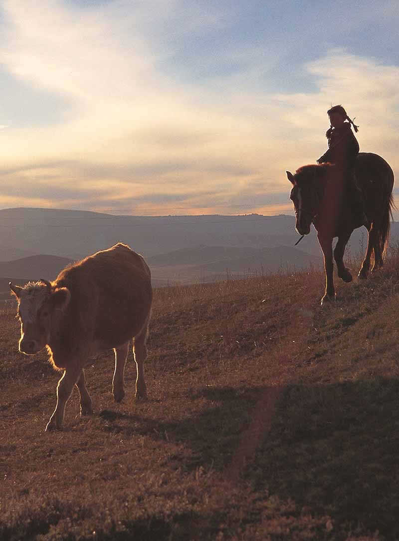 豆瓣9.7分，她的12年人生比《活着》还难，看完哭着打出5星