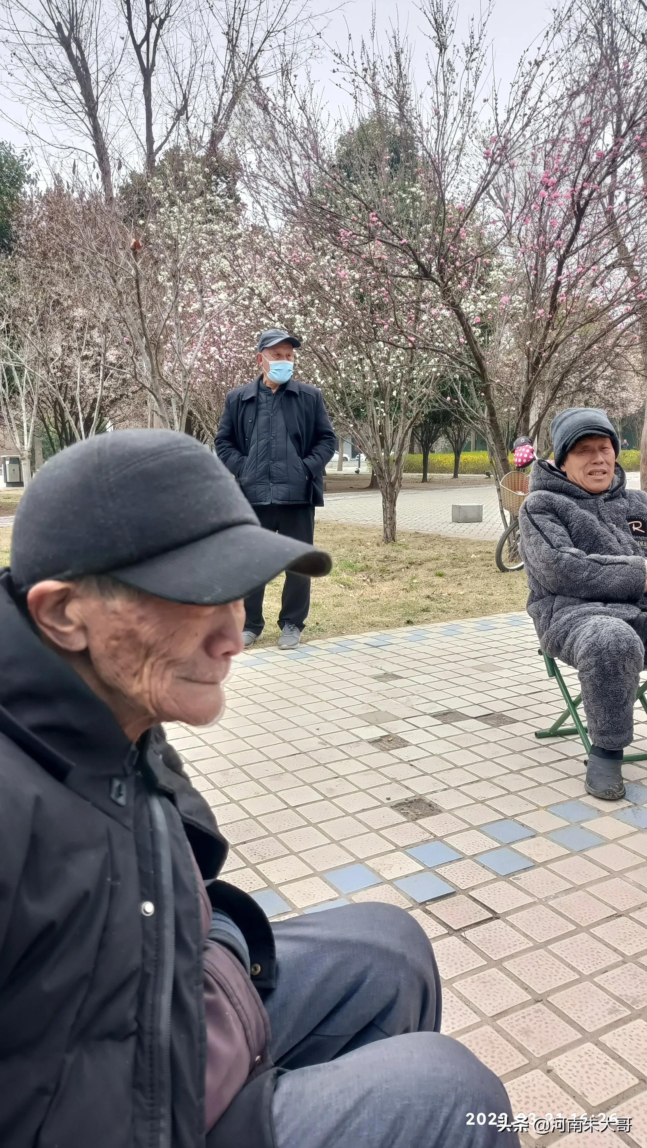 桃花是什么颜色（介绍开有三种颜色花的桃树）