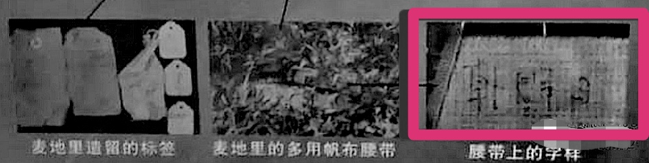 1981年，河南1 动物园2只老虎被害，警察凭1条绿腰带锁定屠虎凶犯