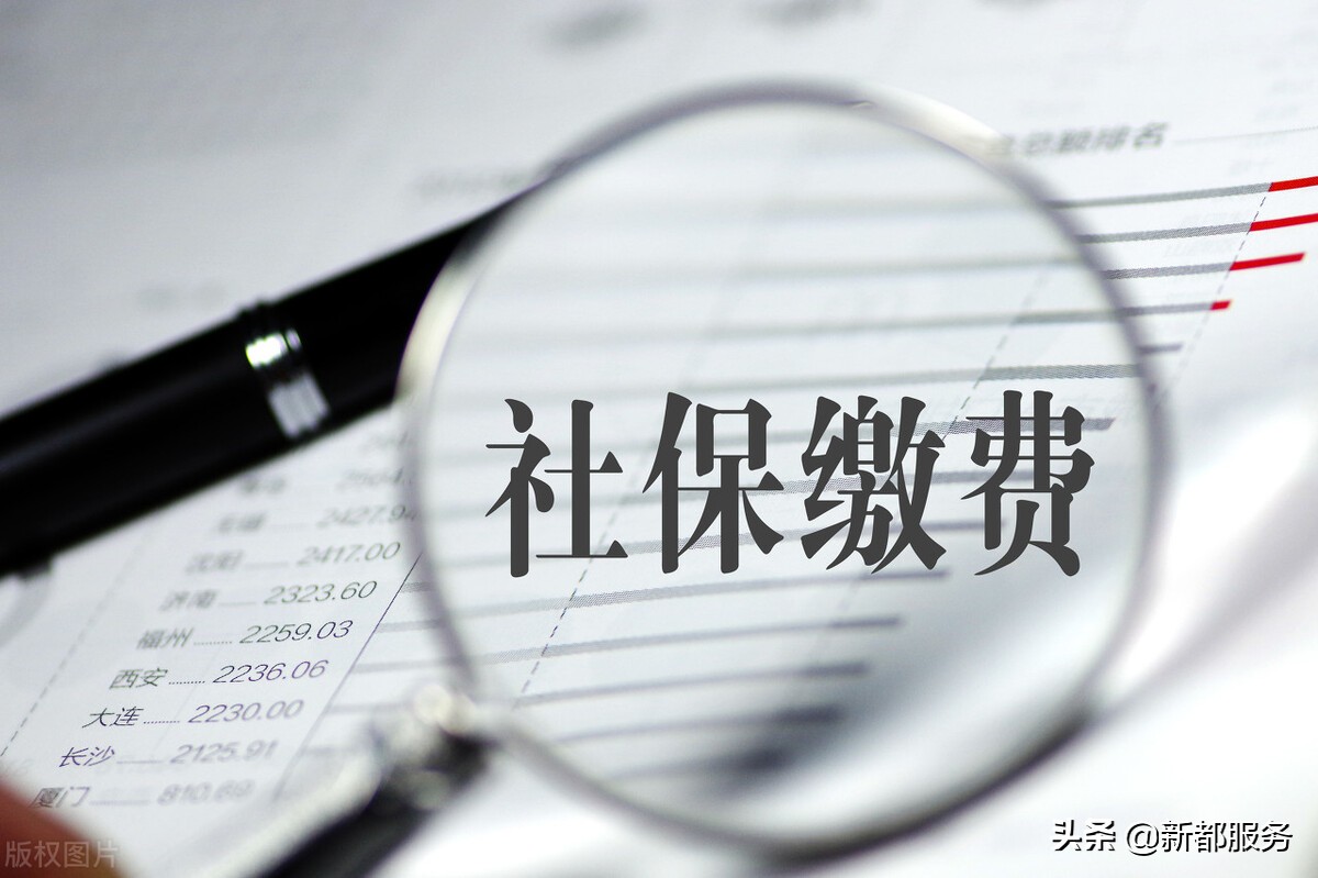 社保缴费记录查询方法及明细查看指南