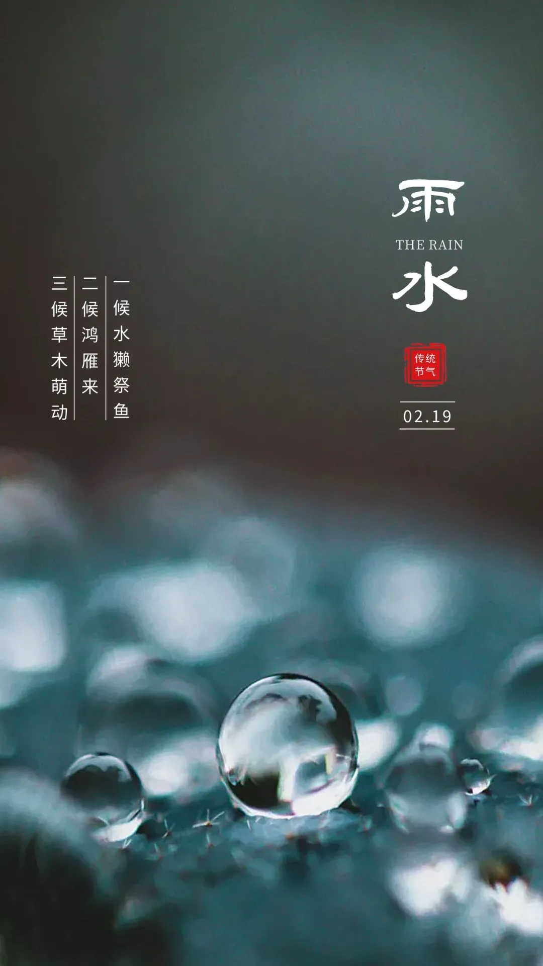 雨水节气图片配图高清唯美大全，雨水文案句子，雨水祝福语问候语