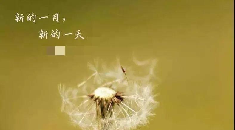 祝福的句子唯美简短八个字(20个唯美祝福句子文案)