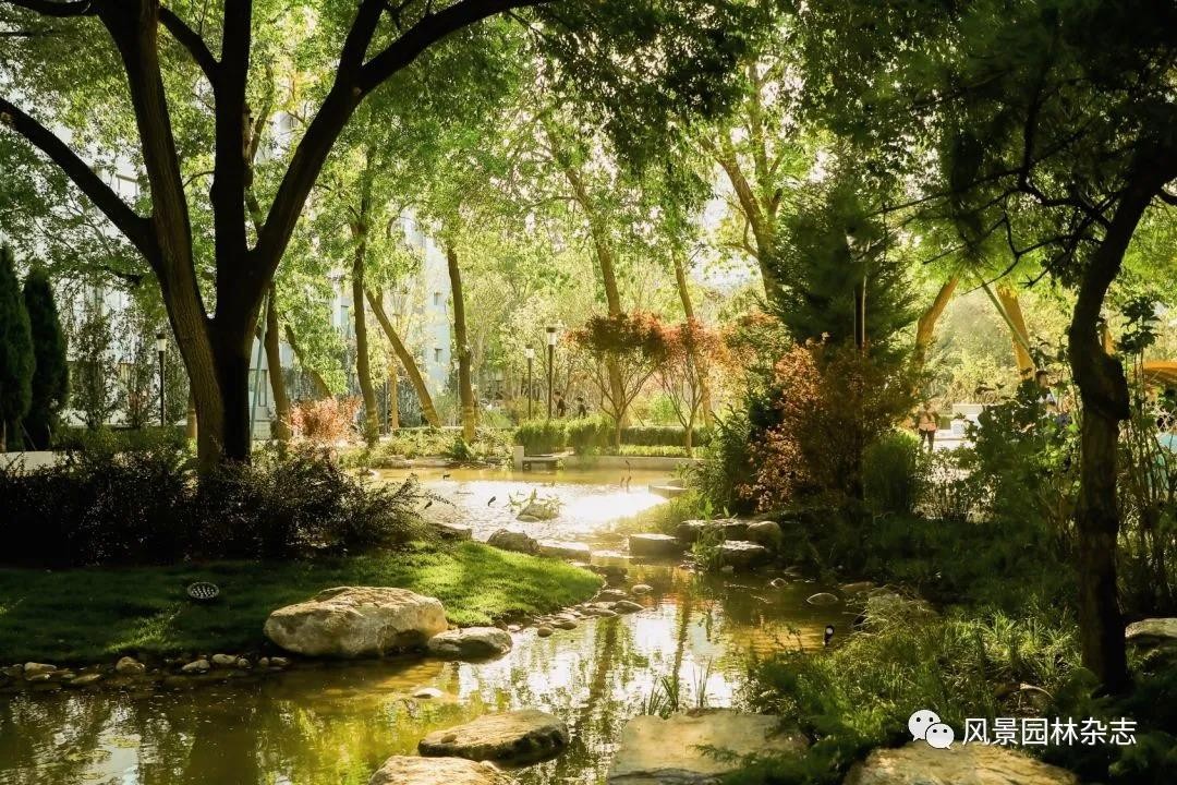 近日，北京双一流斩获5项“重量级”大奖，成果服务于秦皇岛、成都等地！