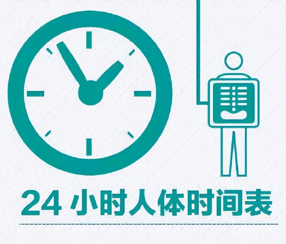 医生公布人体24小时时间表，你知道每个时间段对身体的重要性吗？