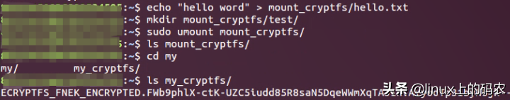一文解析Linux加密文件系统（eCryptfs）