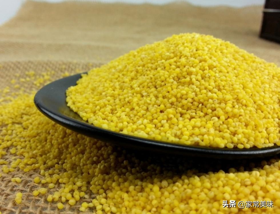 全國哪的小米最好吃？認準這4個產地，均是谷中珍品，有你家鄉嗎