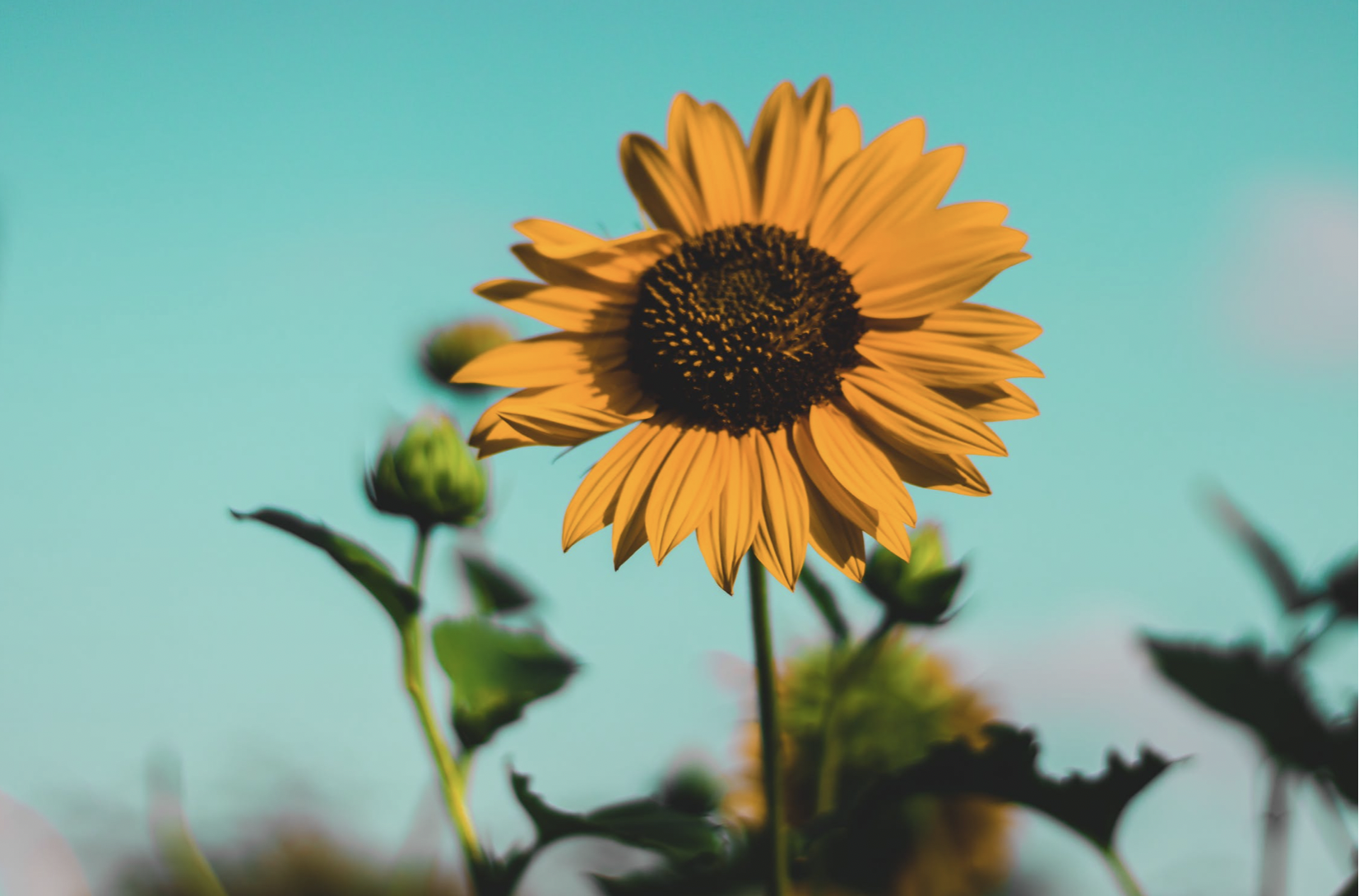 你会介意现任感情史多吗？男生和女生的答案是不一样的