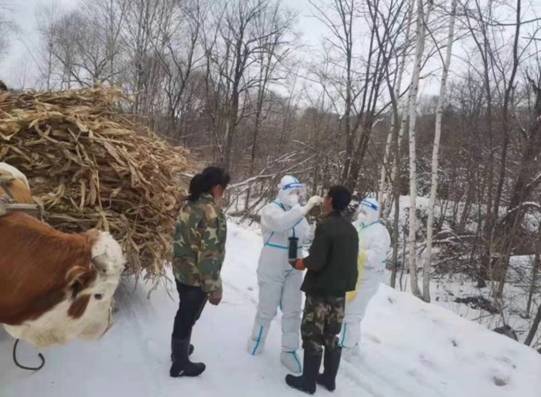 桦甸：稳产保供备春耕
