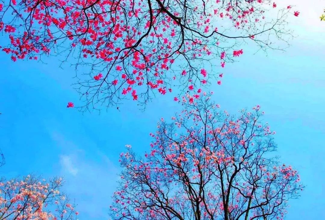 三月的江南的优美句子