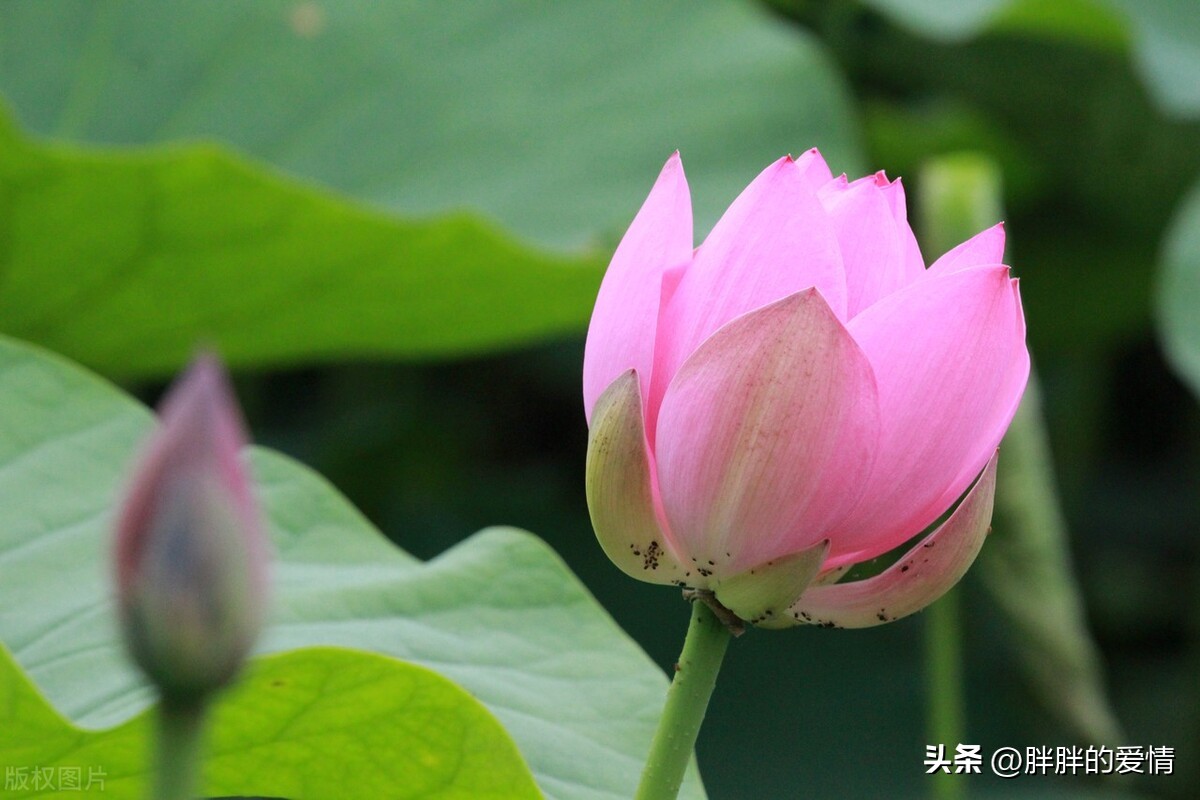 幸与不幸都有尽头，见者有份，好事发生；适时清零，更好前行