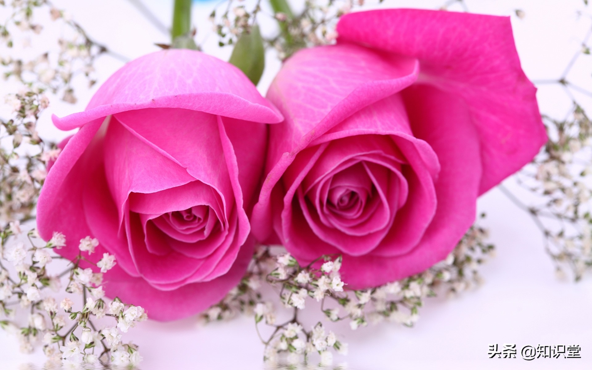 2022年情人节温馨表白句子,214情人节浪漫情话