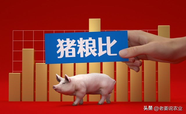 今日唐山市场猪肉价格（今日猪肉市场最新价格）