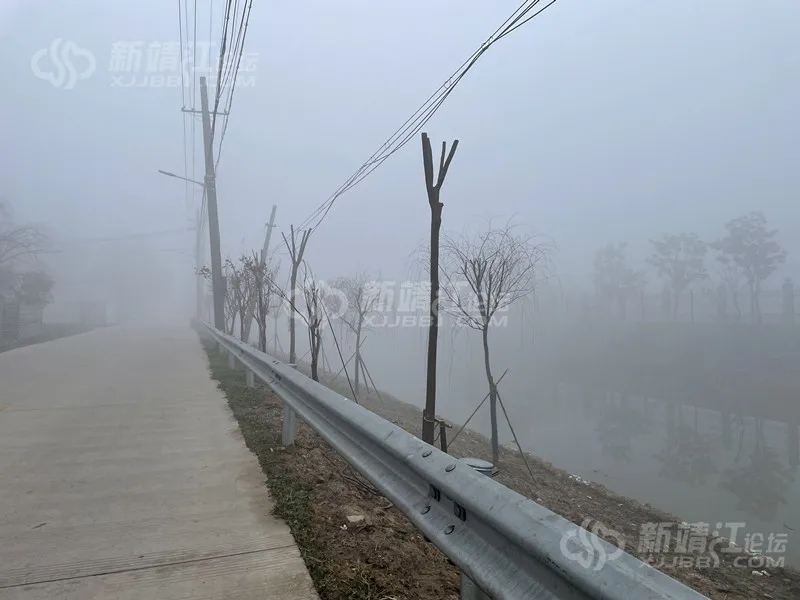 预警！靖江今早大雾突袭，高速封闭，汽渡停航！接下来气温暴跌