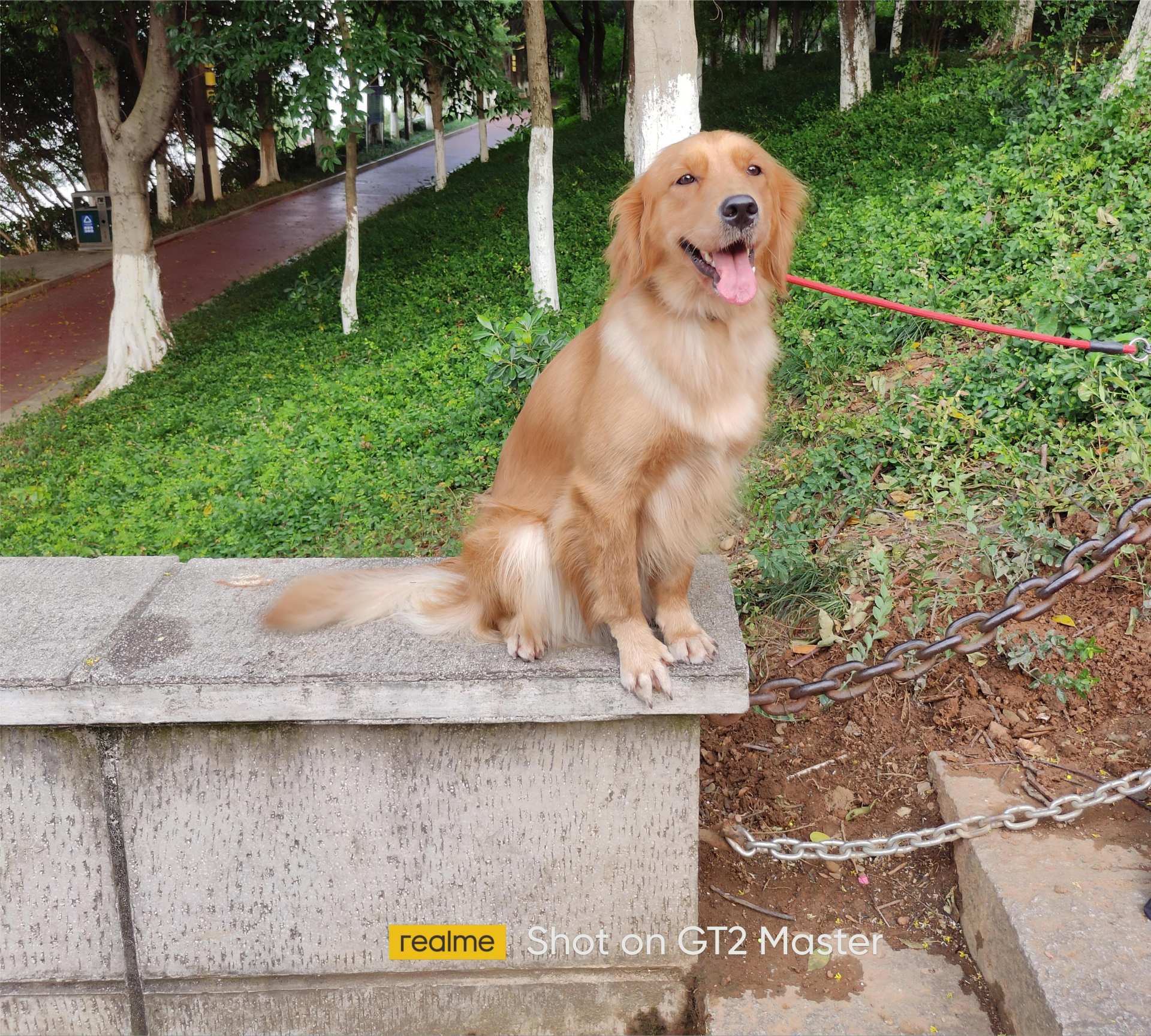 真我GT2大师探索版上手体验，性能质感双向在线