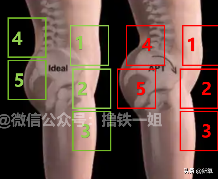 新剧一出场小腹凸成一坨？这翻车的体态硬是被腿精天花板当场救回