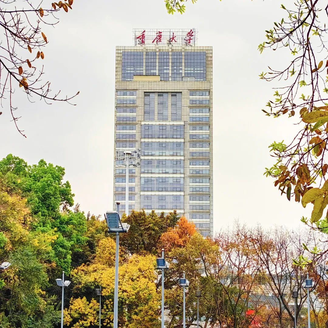 重大的春天，就是不一样