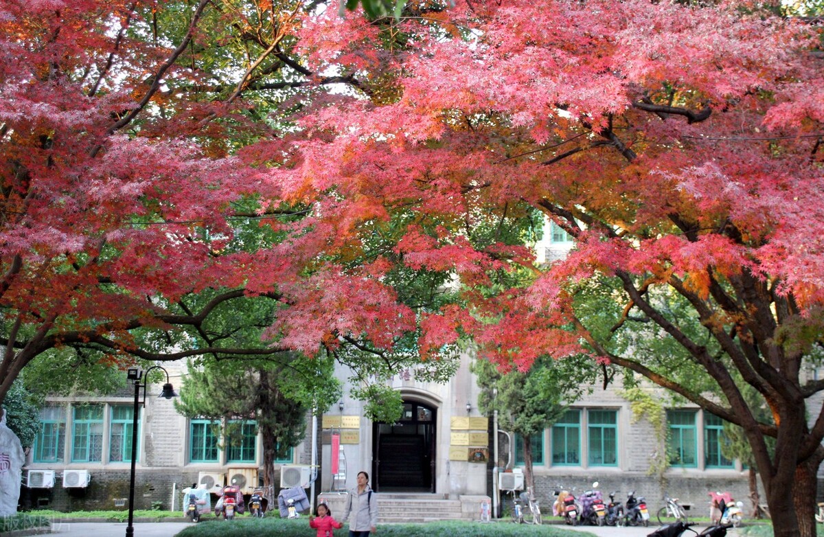 6个专业需要校考！苏州大学发布2022年艺术类专业招生考试方案