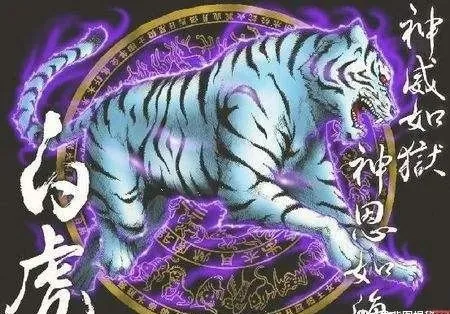 2022年是白虎年,白虎年有这个忌讳!大家一定要知道