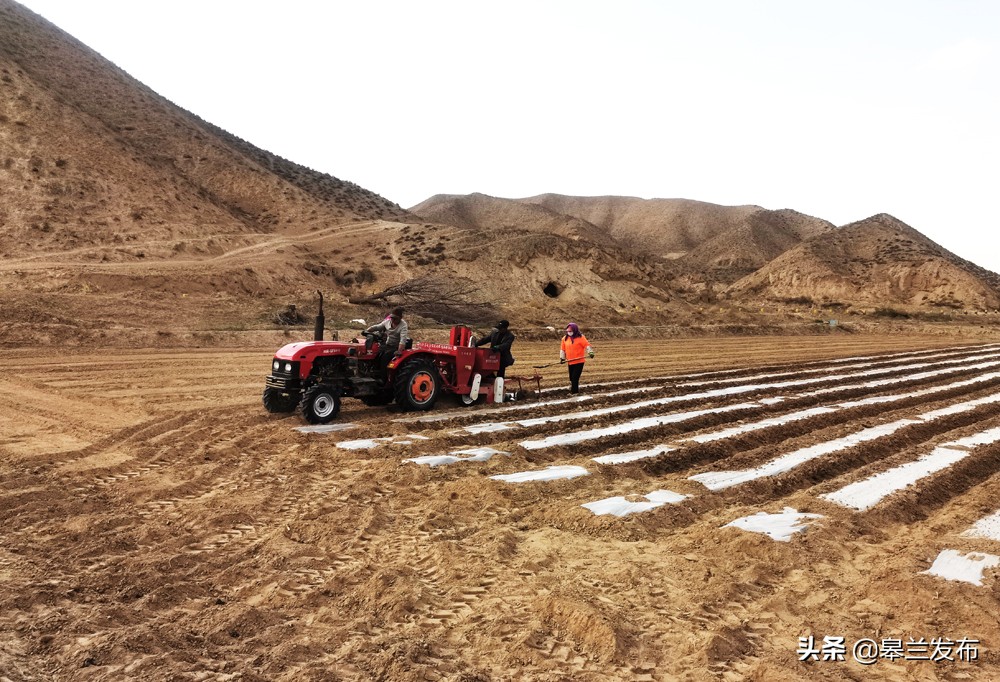 皋兰县石洞镇下好三步棋撂荒地变希望田